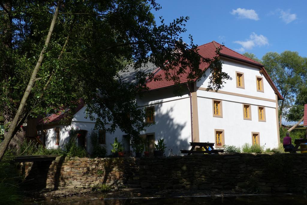 Biofarma Dolejsi Mlyn Villa Kamberk Exterior photo