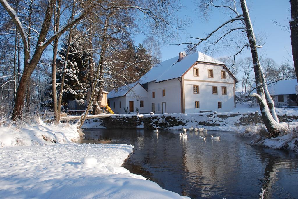 Biofarma Dolejsi Mlyn Villa Kamberk Exterior photo